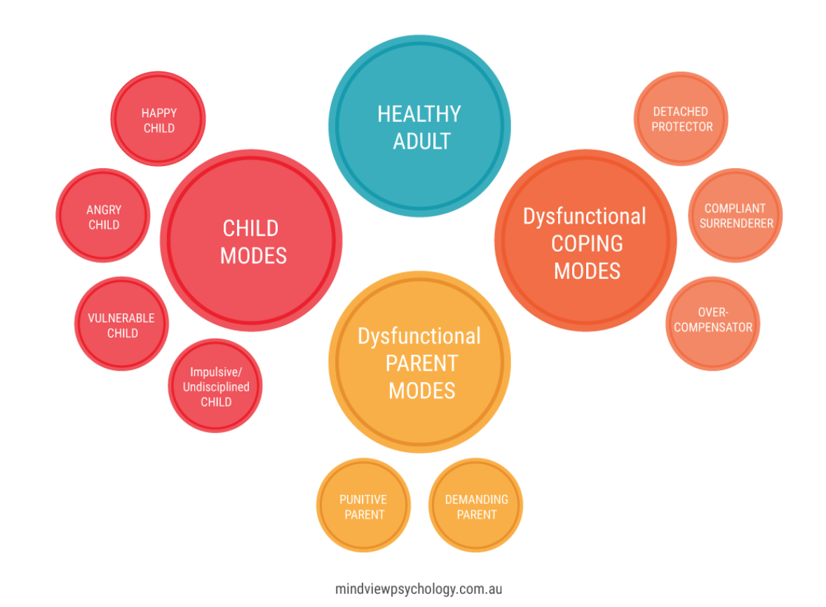 Schema Case Conceptualisation